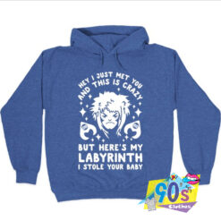 I Just Met You and This Is Crazy Hoodie.jpg